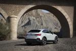 Audi Q3 Sportback 45 TFSI Quattro S-Line 2019 года (WW)